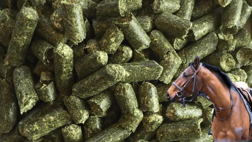 How Much Alfalfa Pellets To Feed a Horse