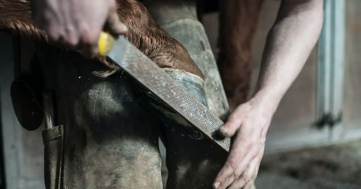 How Much Do Horse Farriers Make?