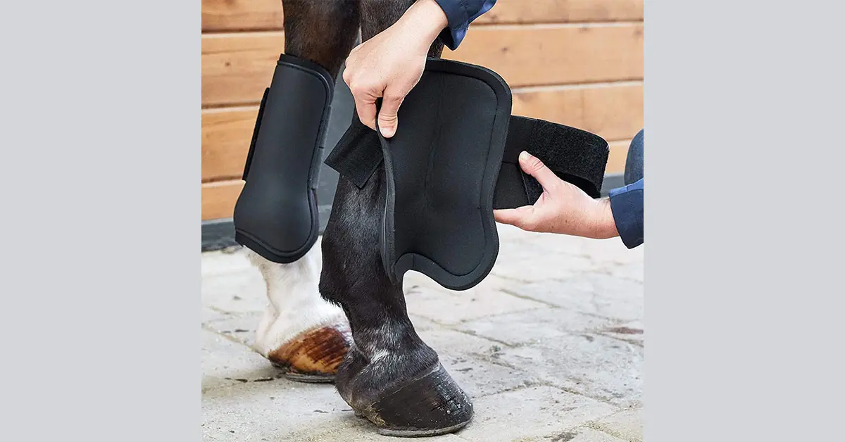 Does My Horse Needs Tendon Boots?