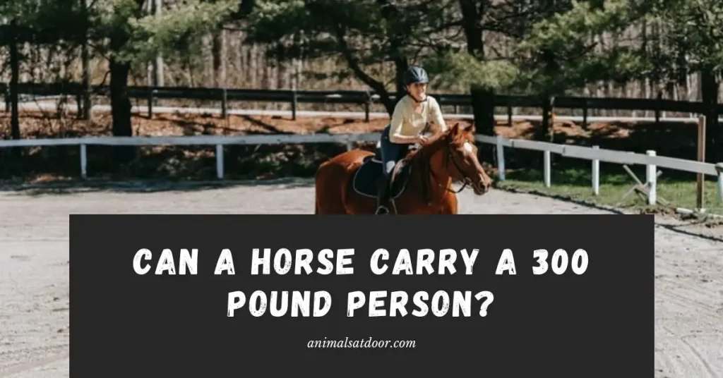 Can a Horse Carry a 300 Pound Person
