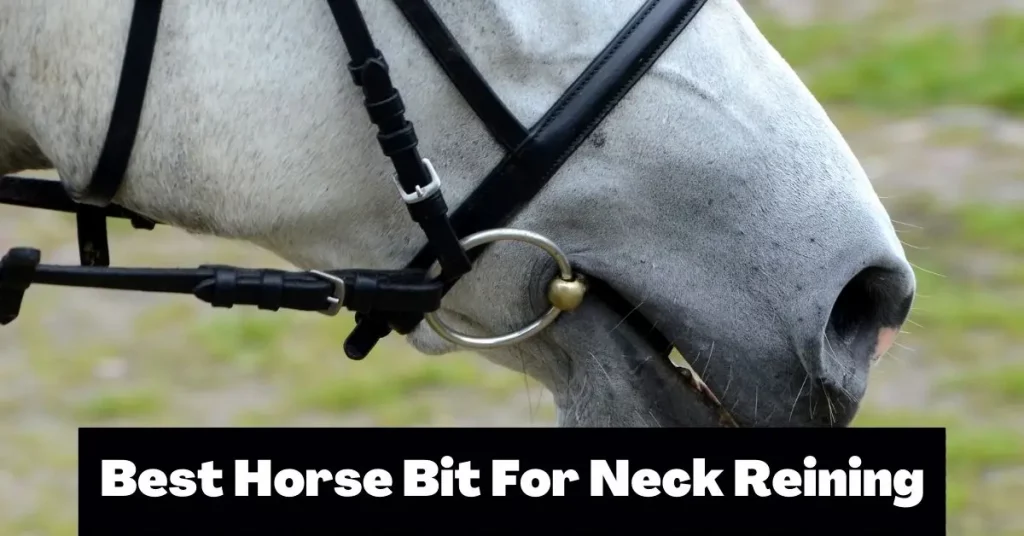Best horse bit for neck reining