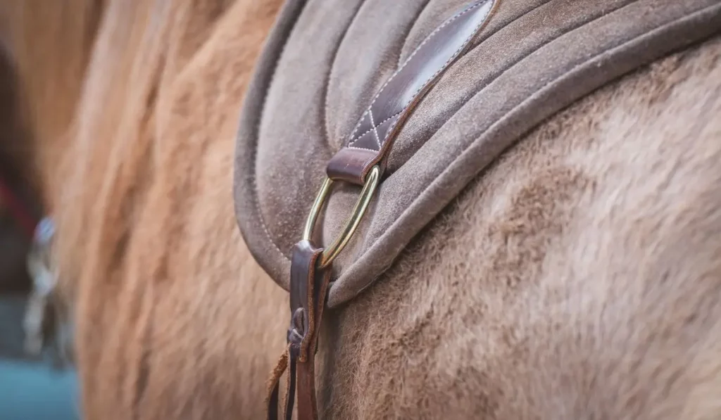 The Best Saddle Pads for Horses with No Withers 