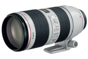 Canon EF 70-200mm f2.8L 