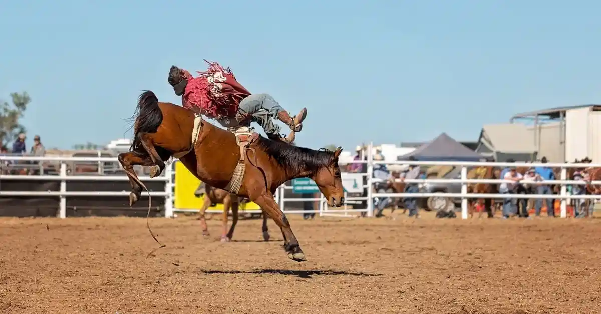 What Do You Need For Ranch Bronc Riding? (Rules, Gear, Tips Etc)