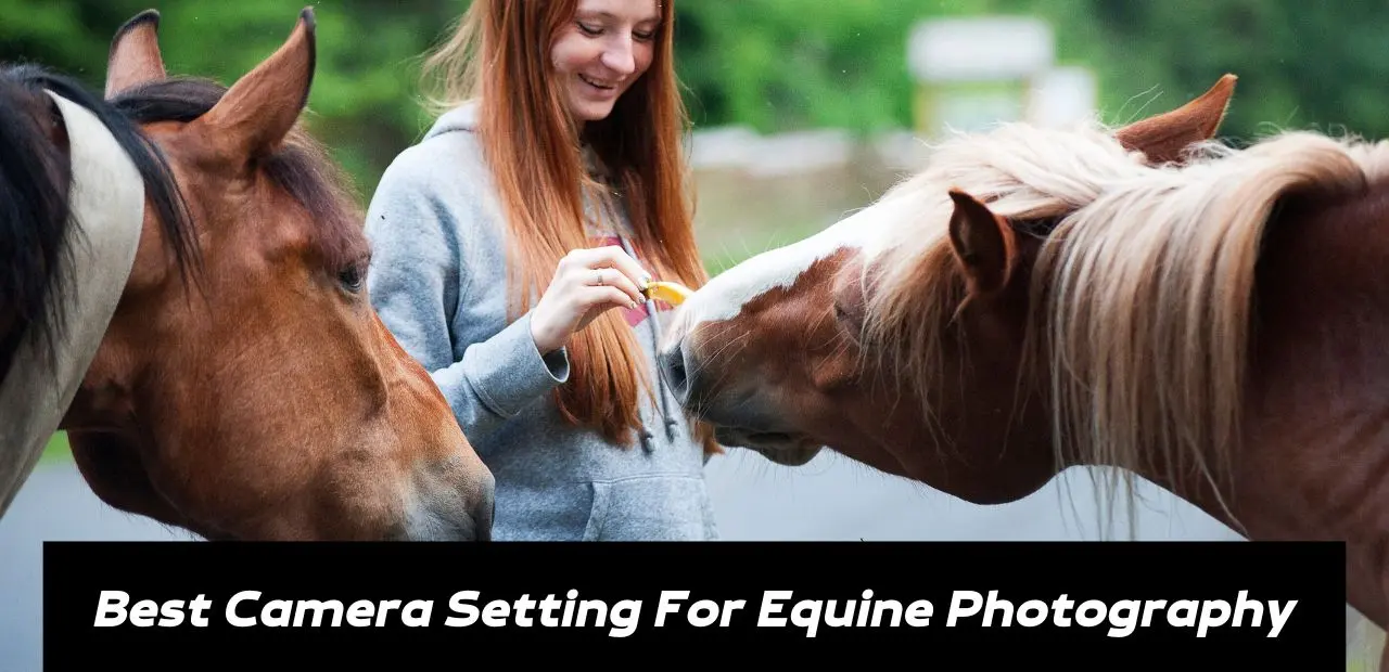 Best Camera Setting For Horse Photography! (Portraits, Jumping, Running)