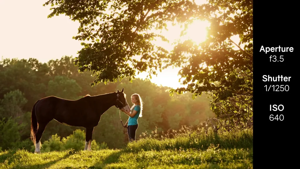 Camera Settings for Equestrian Portraits