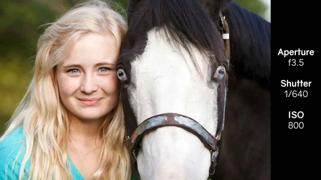 camera setting for equine photography